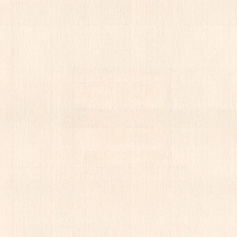 Beige textured surface with fine grain and vertical striations, displaying a warm neutral tone and matte finish in soft, diffused light.